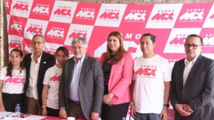 partido rosa